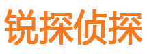 平武侦探公司